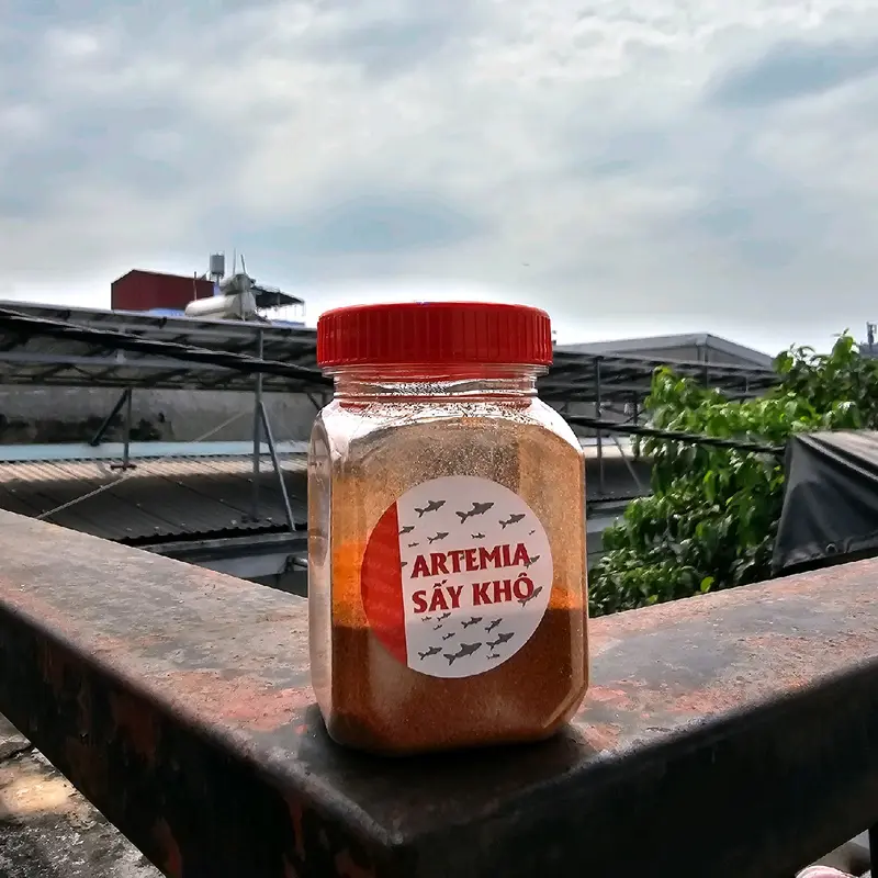 Artemia sấy khô - Thức ăn cho cá, thức ăn cho cá bột nhiều chất dinh dưỡng. giúp cá khỏe cá sung hơn. 2