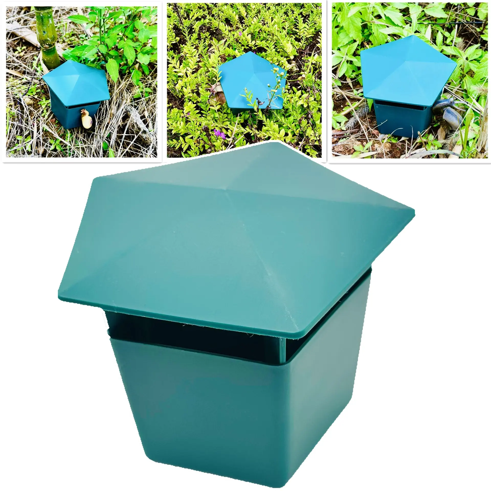 Snail trap trap garden garden slug trap plastic pentagonal slug fleshy physical pest control