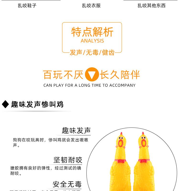 Product Introduction of Pet Toy Screaming Chicken Sound Toy Screaming Chicken Molar Dogs and Cats Bite-Resistant Decompression Toy Supplies 1