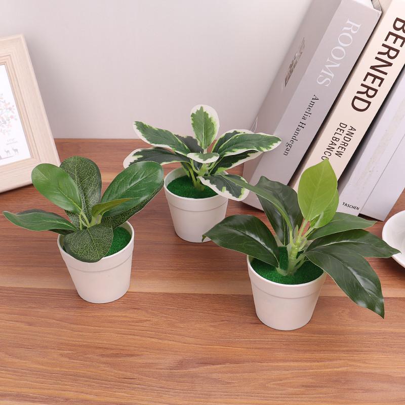 Cây Nhân Tạo, Cây Bonsai Mini, Cây Trong Chậu, Hoa Giả, Đồ Trang Trí Trong Chậu Để Bàn Văn Phòng, Trang Trí Sân Vườn Nhà Cửa 3