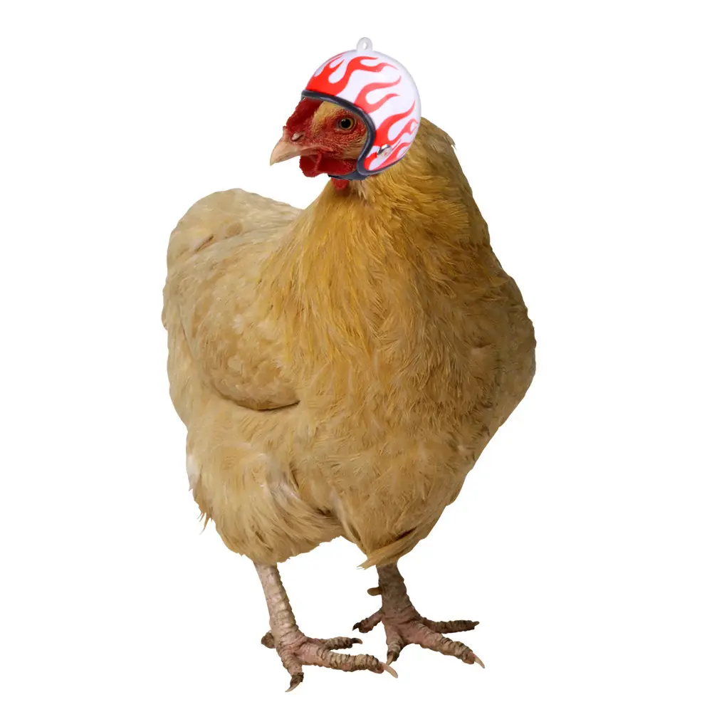 Creative New Pet Chicken Helmet Funny Protection Hen Hat Bird Hat Headgear