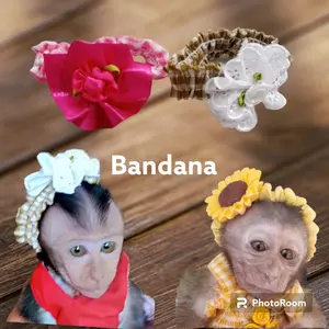 aksesoris untuk hewan(bandana)