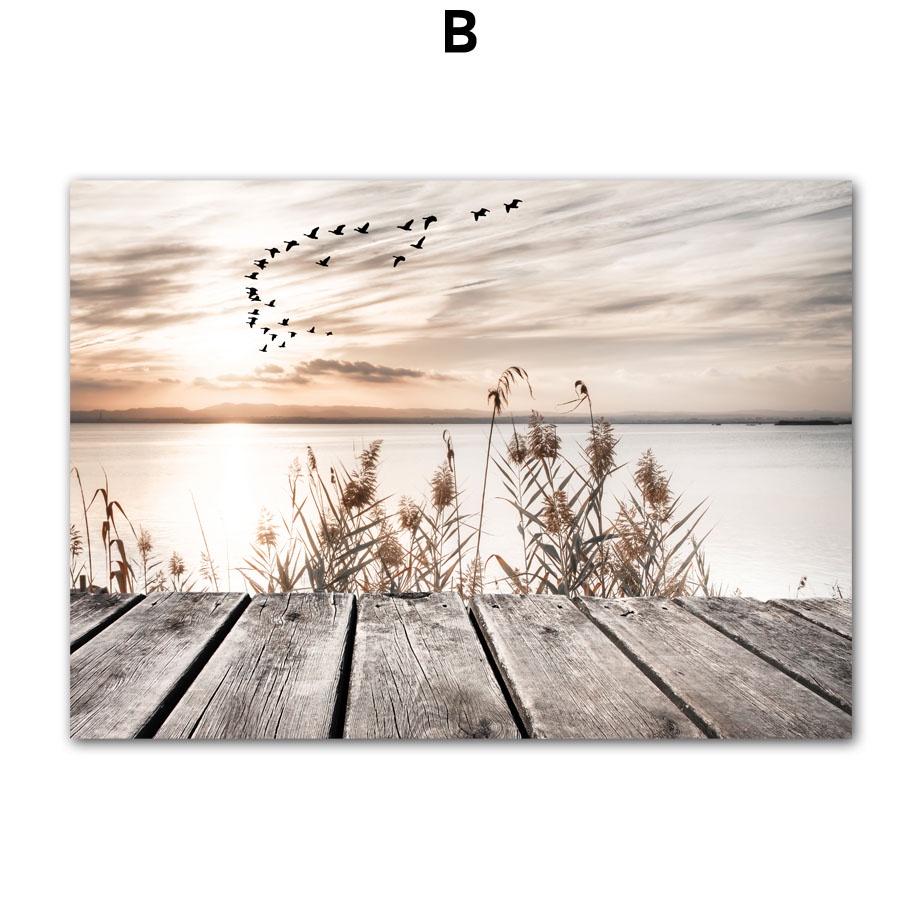 B