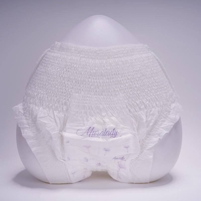 1 Bịch 10 Băng Vệ Sinh Dạng Quần Mura Lady Nhật Bản Dành Cho Chị Em Phụ Nữ 3