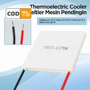 Peltier Alat Pendingin Pengontrol Suhu 9-15V 12V 6A 92W Max DC Kontrol Dingin Aquarium Portable Cooler