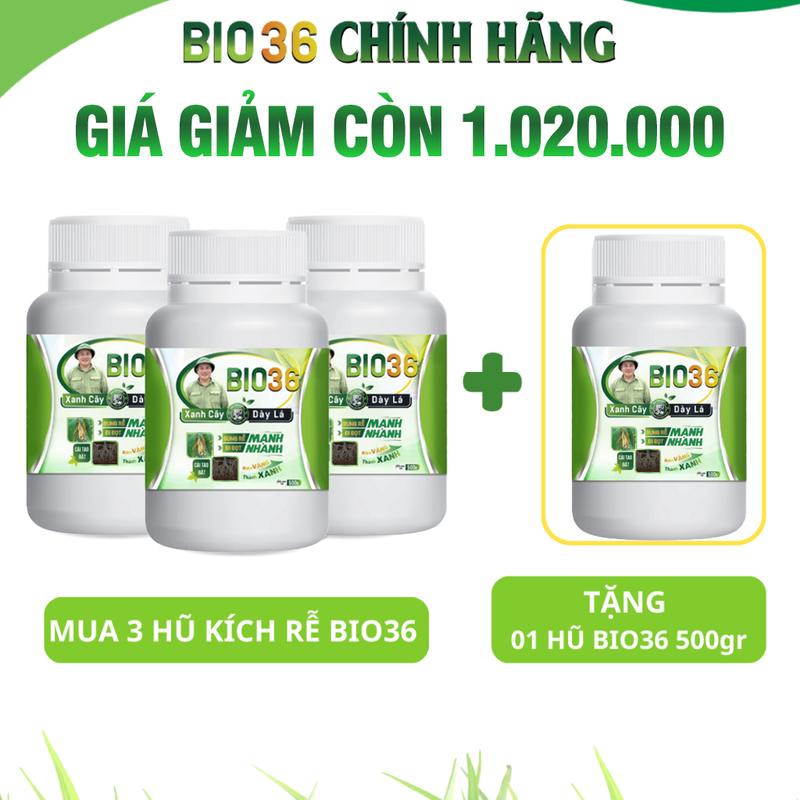   Combo 3 tặng 1  Bio 36 - Vua kích đọt bung rễ 1500l lọ 500gram Chế phẩm sinh học cho sản xuất nông nghiệp 