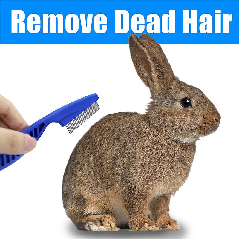 Product Introduction of 1Pc Pet Grooming Brush Small Pet Rabbit Hair Remover Flea Dog Cats Comb Shampoo Bath Brush Hamster Guinea Pig Cleaning Tool 4
