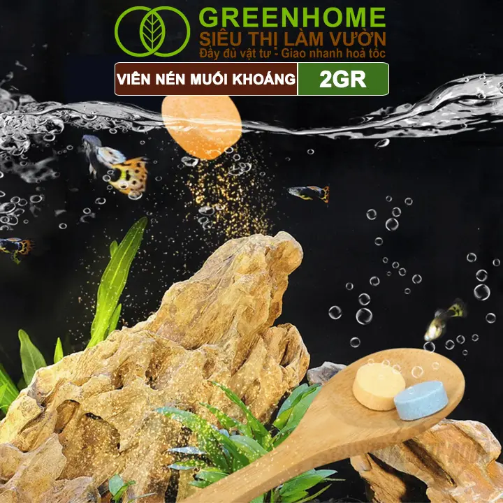 [Hàng tặng] Muối Khoáng Viên Nén Greenhome, YEE, Viên 2gr, Viên Ngẫu Nhiên 4
