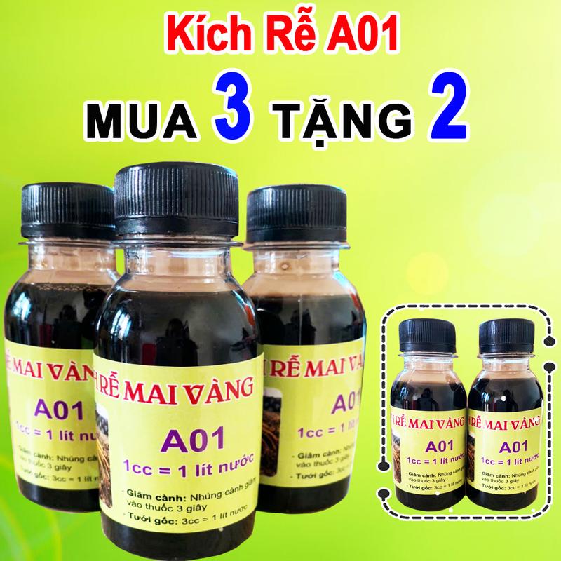 Kích rễ mai vàng A01 100 ml giâm cành tưới gốc thúc đẩy rễ cây phát triển - Mua 3 Tặng 2