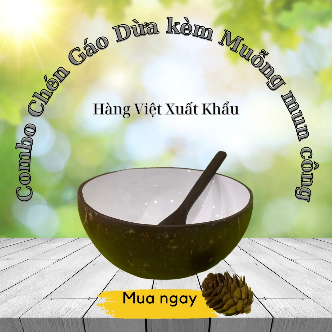 Combo chén gáo dừa tự nhiên dùng ăn granola, salad và muỗng mun công đẹp bat  diagiadinh