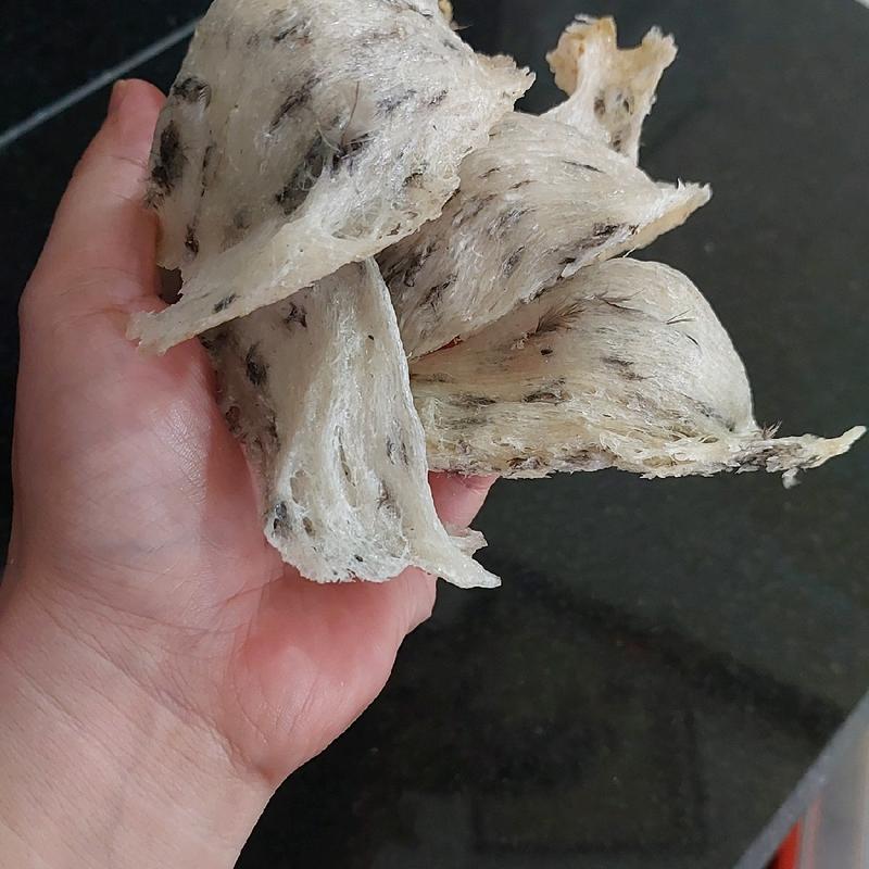  Yến thô tương đối ít lông dễ làm 