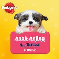 Gambar Pedigree Makanan Anak Anjing Basah Pouch rasa Beef Egg & Veg 80 gr - Isi 24 pedigree  puppy wet  food - Isi 24 dari Whiskas Indonesia Kota Tangerang 3 Tokopedia