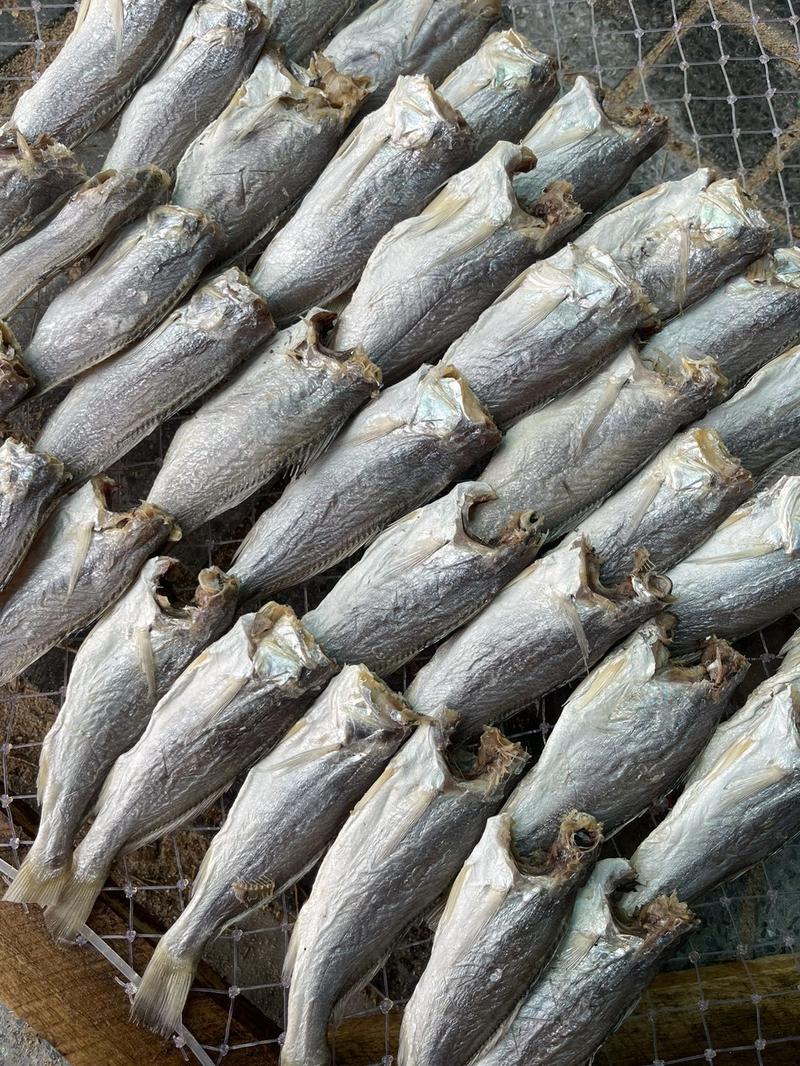 Product Introduction of 500.gram khô cá đù lớn vị mặn ăn cơm size 14-18 con Food (quý khách ăn lạc nên ngâm nước 30-40 phút trước khi chiên. 3