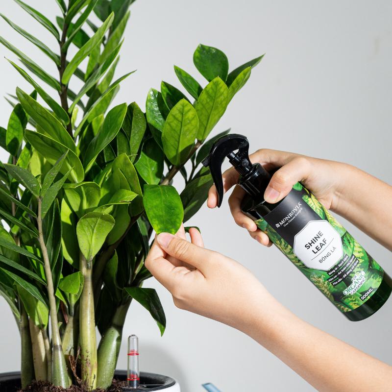 Product Introduction of Phân bón hữu cơ BÓNG LÁ MONROVIA pha sẵn giúp lá cây khỏe mạnh, xanh bóng, dành cho cây trồng dung tích 500ml 5