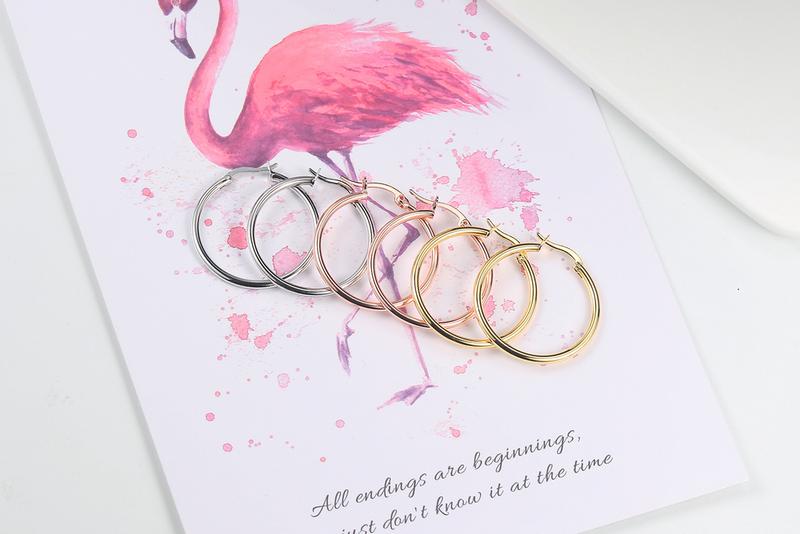 Product Introduction of Hoop Earrings For Women Classic Simple Punk Style Multi size Optional Light Gift Fashion Jewelry E093 E780 0