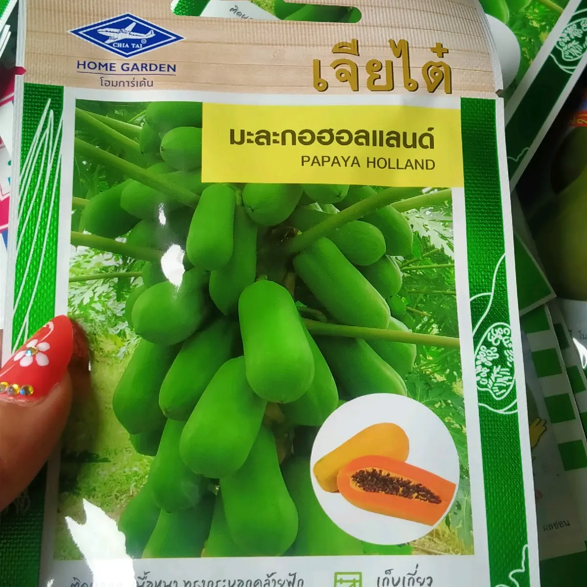 H.ẠT GI.ỐNG ĐU ĐỦ LÙN SIÊU TRÁI