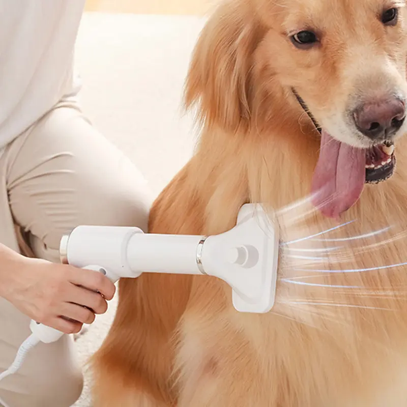 Máy sấy lông thú cưng, 1 bộ, Đa chức năng, thổi đồng đều, chất liệu ABS, 2 trong 1, nhanh khô, thích hợp cho gia đình 2