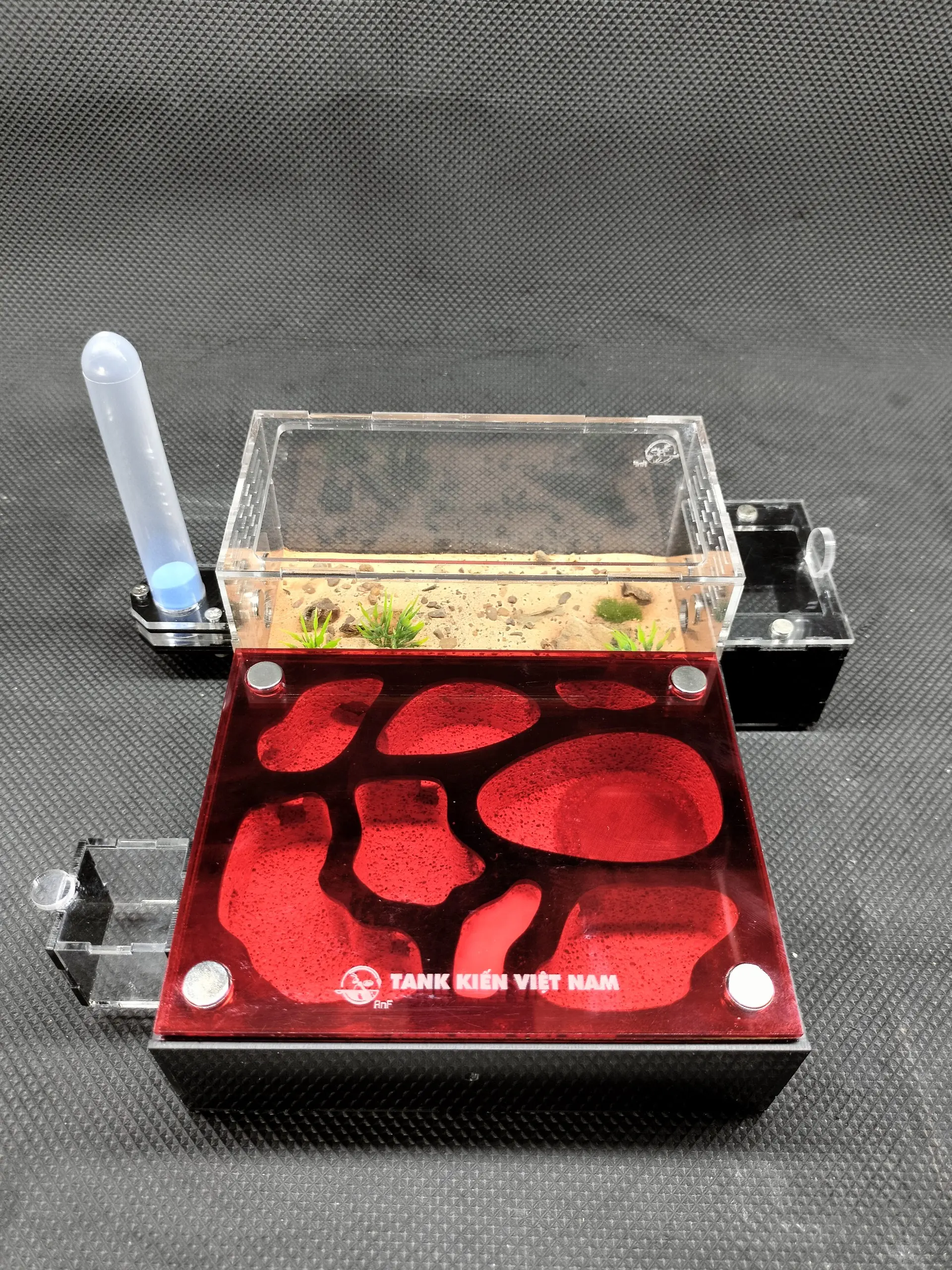 Tank nuôi kiến - hộp nuôi kiến N03