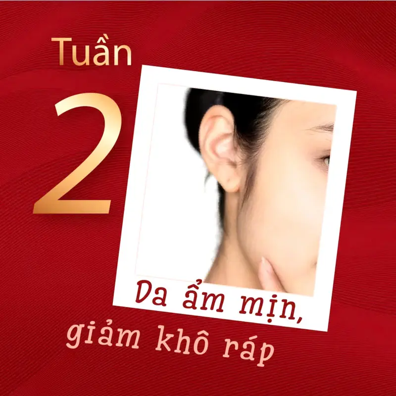 Collagen Sắc Ngọc Khang hộp 30 túi*20ml hộp lớn 4