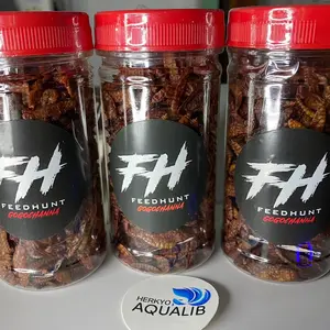 FeedHunt premium Maggot BSF gogo Channa