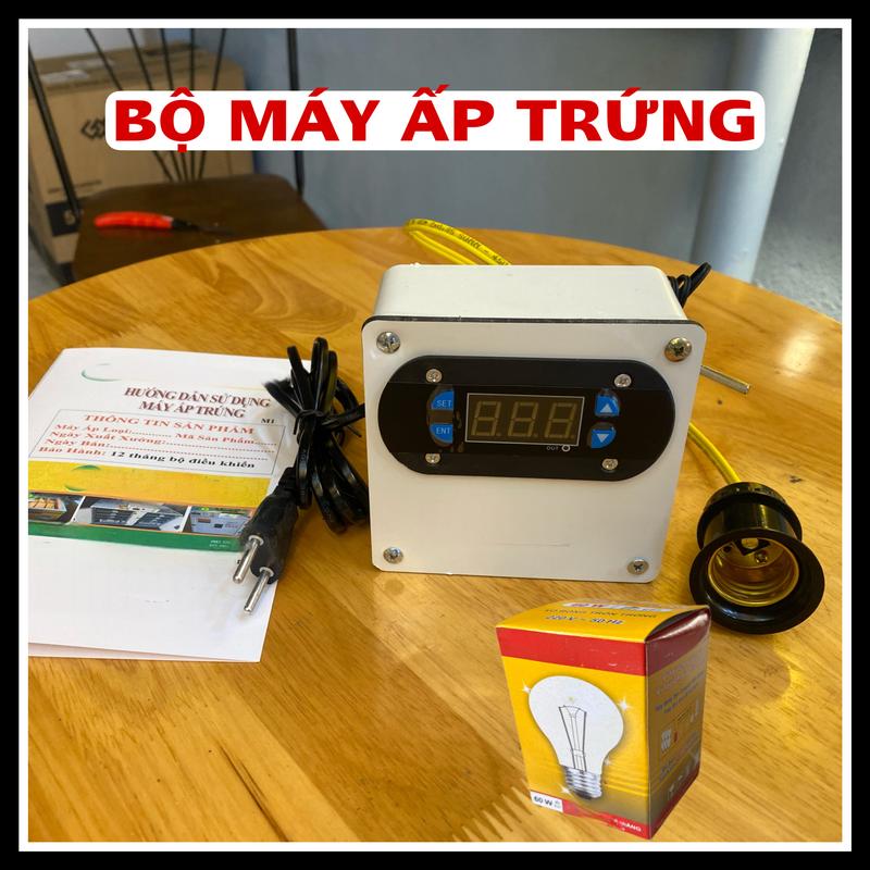 Product Introduction of Bộ Máy Ấp Trứng Mini Dùng Cho Gia Đình 1
