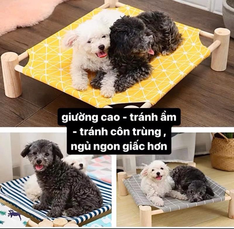Product Introduction of Giường võng gỗ cho chó mèo (màu ngẫu nhiên) - Sản phẩm bền chắc, dễ dàng vệ sinh 6