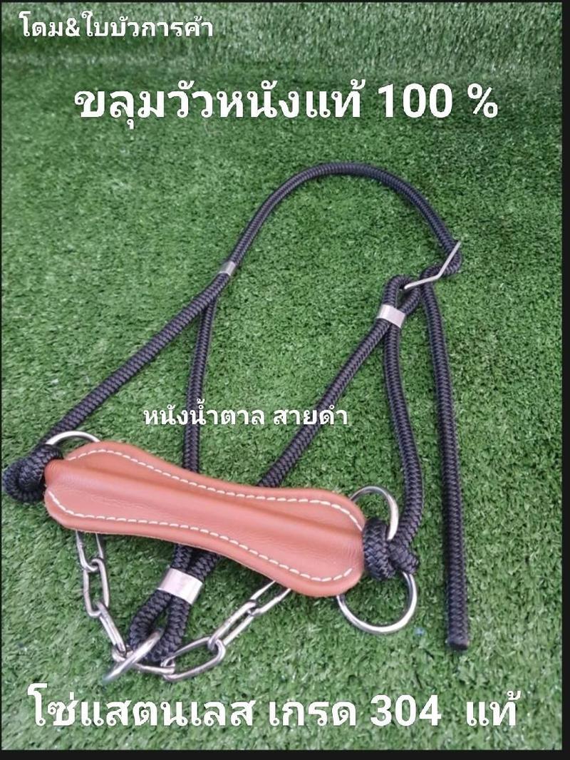 Product Introduction of ขลุมวัวหนังแท้ 100%เชือกปีนเขาแท้100% โซ่แสตนเลส เกรด 304 แท้100 %ขลุมวัว เม่าวัว เค่าวัว แบบประกับ 11