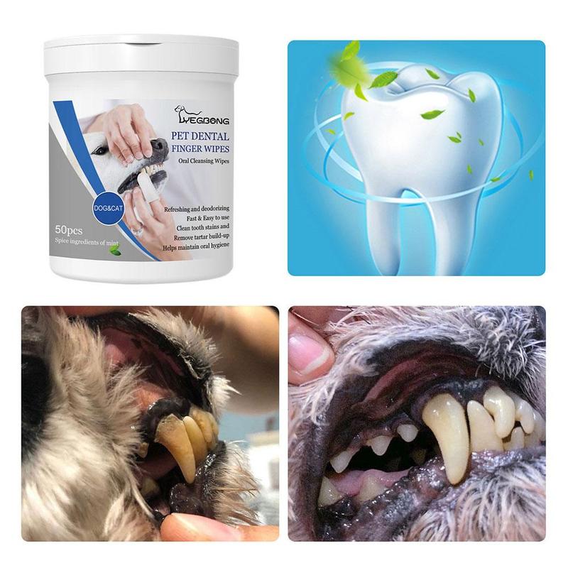 Product Introduction of Oral Care Finger Wipes for Dogs and Cats EasytoUse Pet Teeth Cleaning Solution for Fresh Breath L8B9 26