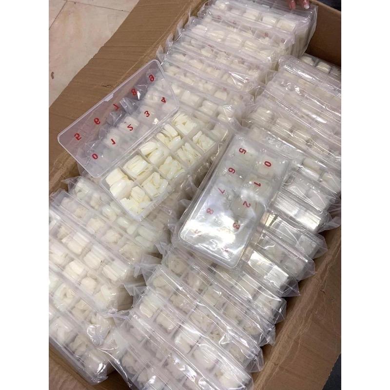 ￼Móng úp chân fom dài hộp 500 móng 5