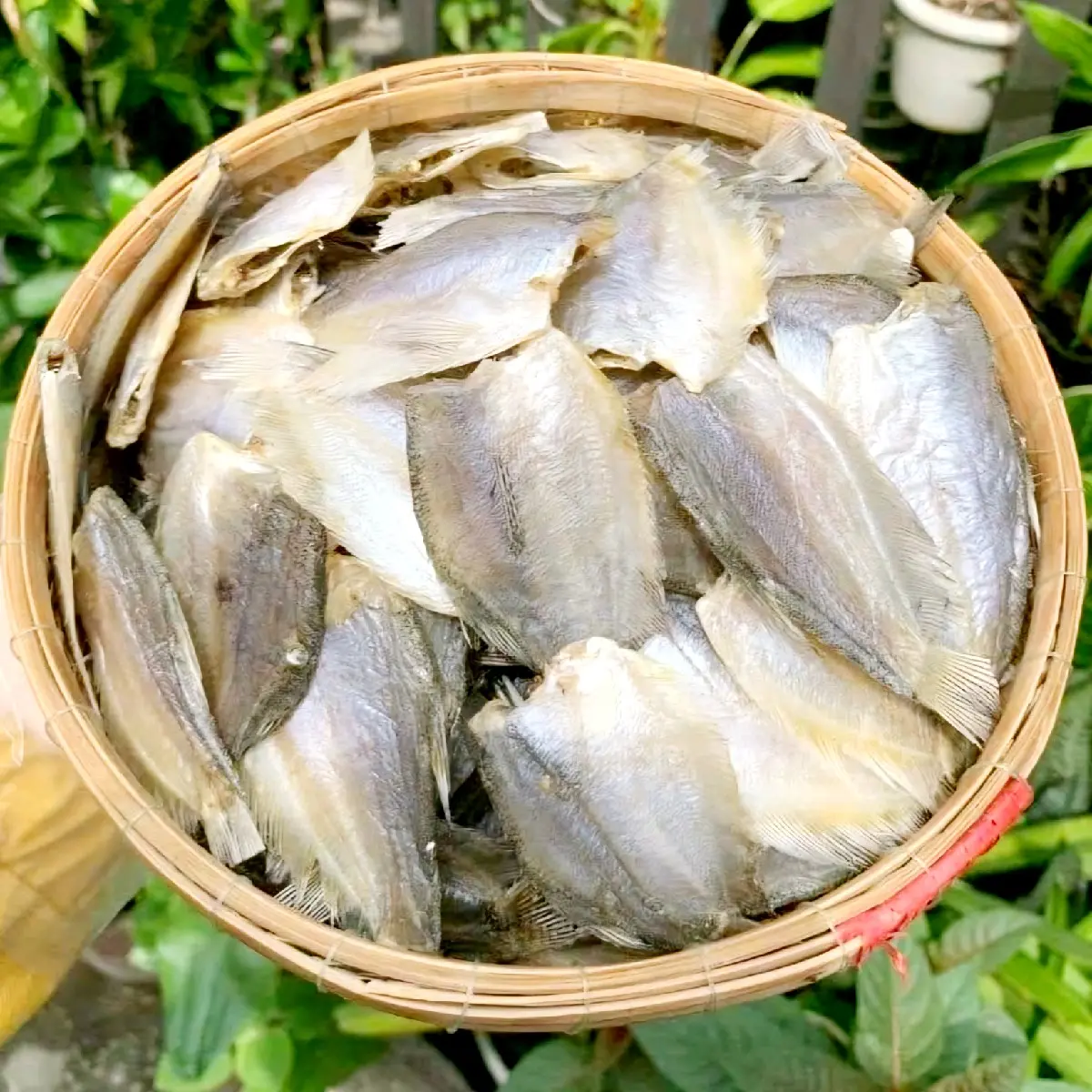 Khô Cá Sặc Đồng Vị Lạt -500gr Khô Sặc Non Food Ăn Vặt Thức Ăn