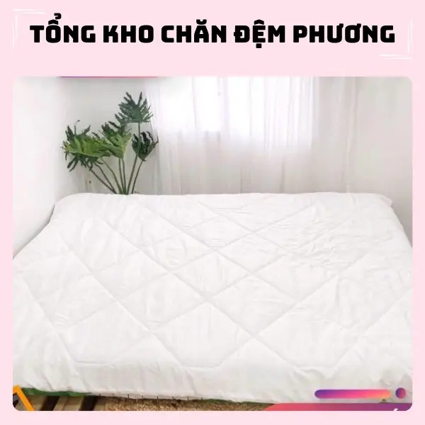 Ruột chăn siêu nhẹ 2mx2m3 giữ ấm cực tốt màu trắng