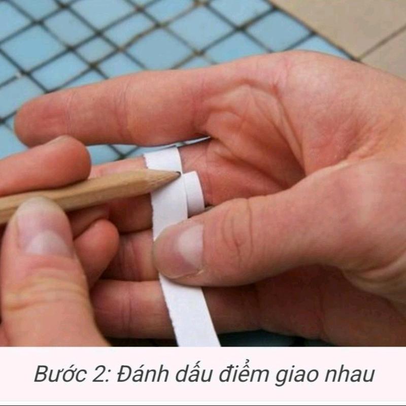 Nhẫn nữ hoàng tròn hột cao màu vàng 610 ( đồng vàng  ) 7