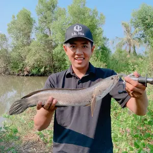 Chí phương fishing