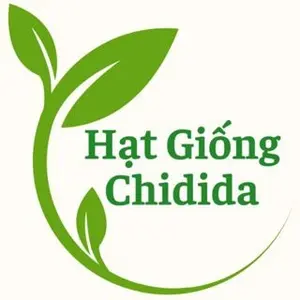 Hạt Giống Chidida