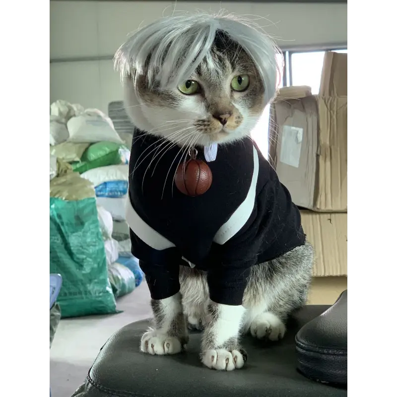 Pet Kunkun Overalls Same Style Clothing Cat Supplies Spring And Autumn Clothes Thin Summer