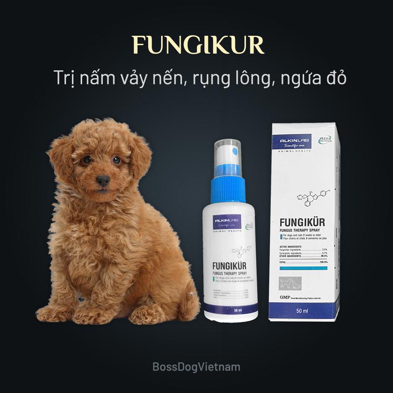 Xịt giảm nấm ngứ rụng lông cho chó Alkin Fungikur | BossDog