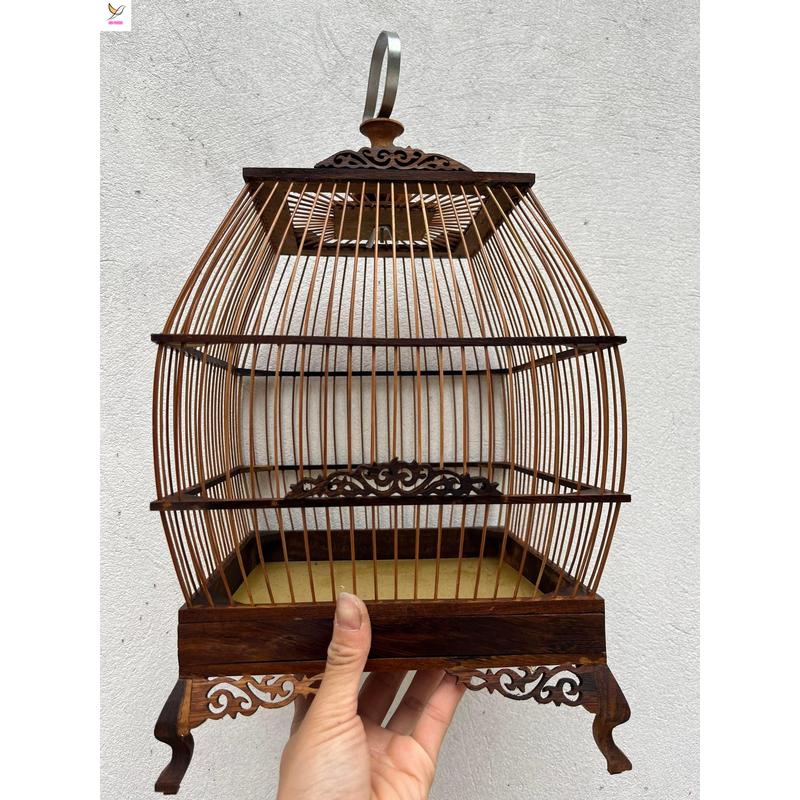  Lồng chim hút mật giá rẻ kiểu dáng sing Lồng chim khuyên hút mật ốc mít - Lồng hút mật vuông 