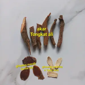 ginseng merah korea iris + ginseng Amerika + akar tongkat ali ginseng merah korea iris + ginseng Amerika + akar tongkat ali