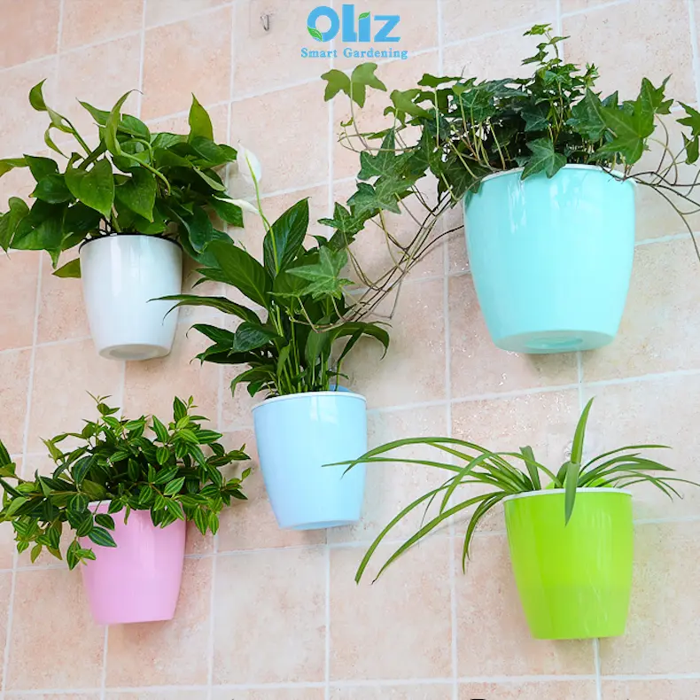 Chậu cây treo tường Oliz K0. Chậu trồng cây tự tưới, thiết kế 2 lớp. Mua 1 chậu tặng 1 móc treo