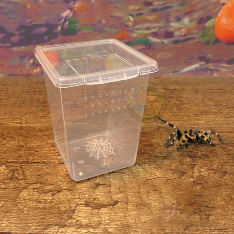 PET HOTLE 1PC Practical Transparent Reptile Accessories Plastic Household Lizard Living Box Hatching Tank Insect Feeding Box Reptile Habitat 6