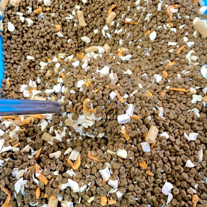 Hạt LANGLIKE siêu topping 40% đạm cho mèo, hạt mix topping cao cấp không trứng cho mèo mọi lứa tuổi 2