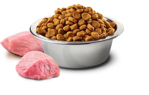 Product Introduction of Thức ăn mèo N&D [Bao nguyên seal 10kg] không ngũ cốc (Grain free) 18