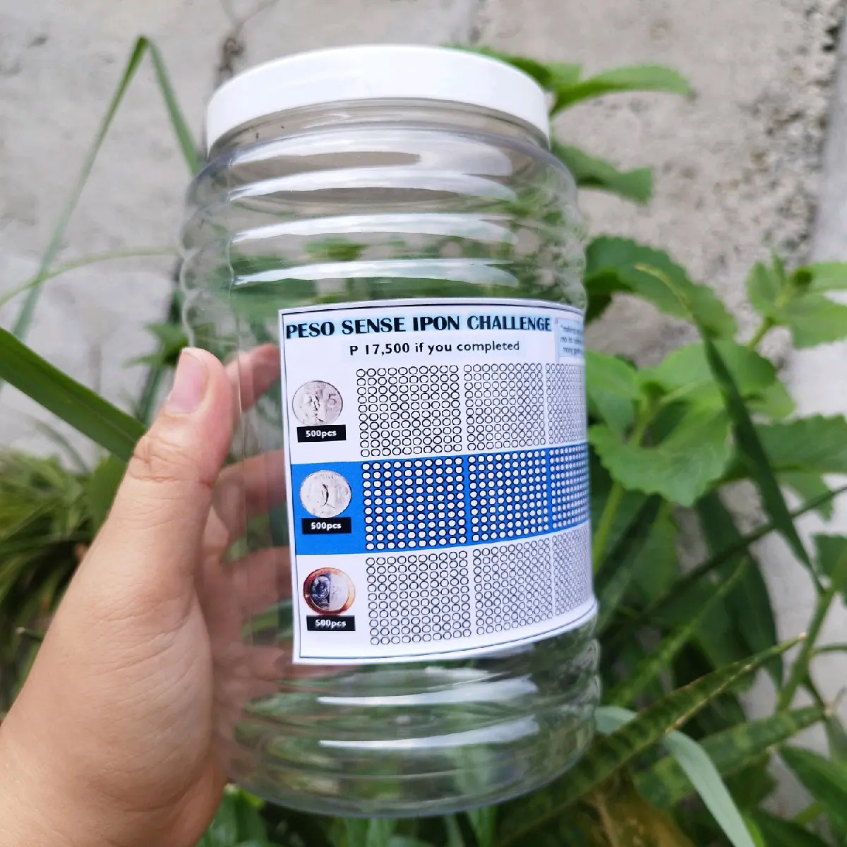 coins 5,10,20 IPON challenge alkansya transparent clear plastic jar  coins Bank