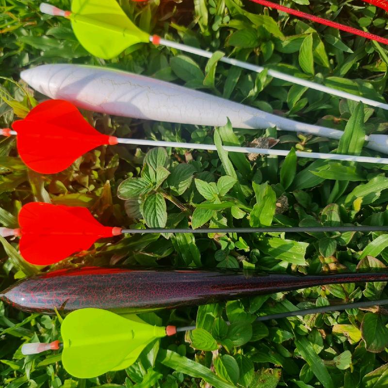 phao câu lục xa bờ Sơn Nứt 2 ngọn Đi Câu Fishing 4