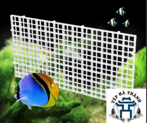 Tấm Vách Ngăn Bể Cá - Tấm Đậy Nắp Bể