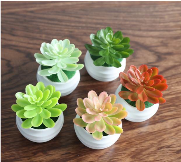 [Deal sốc] Một Chậu sen đá mini giả màu bất kỳ trang trí nhà cửa, decor bàn học, bàn làm việc. Hoa Sen Decor Phòng