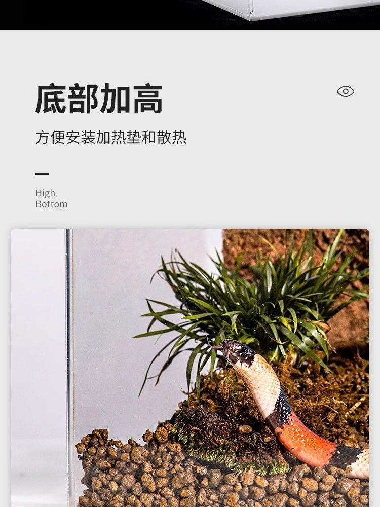 Product Introduction of Kotak Makan Akrilik, Reka Bentuk Memanjat Haiwan Peliharaan, Corak Leopard Merangkak, Kura-kura Pengawal Istana, Serangga Ceratophrys, Penyu Ular, Kalis Air, Silinder Lutsinar, 2024 11