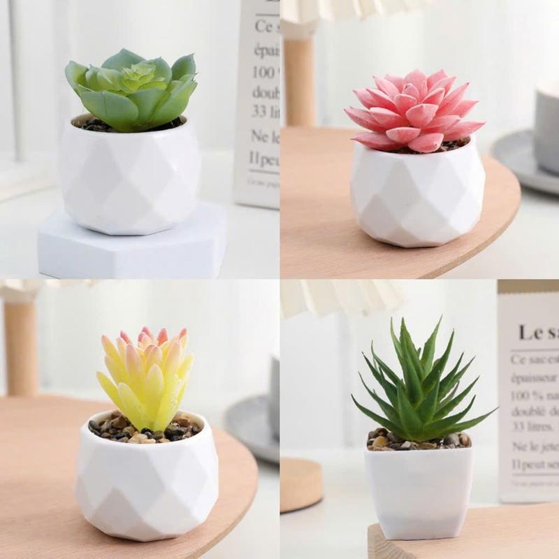  Chậu Sen Đá giả mini kích thước 6x6cm trang trí nhà cửa bàn học bàn làm việc giá rẻ. Decor Phòng Hoa Sen Decor 
