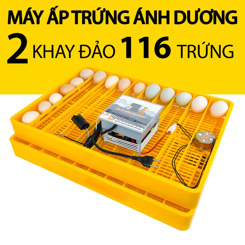Máy ấp trứng Ánh Dương P100 có khay đảo trứng tự động 116 quả - Tạo nhiệt dây Carbon, ấp nở đạt 95% - DABANO