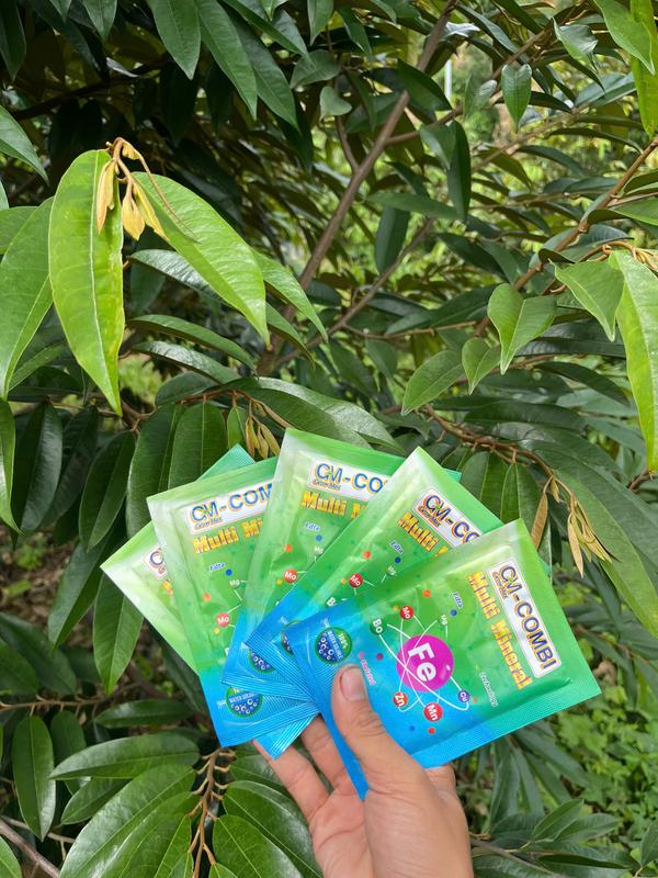 Vi lượng tổng hợp Multi Mineral cho cây sầu riêng (Gói 25g) lưu  huỳnh 6